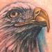 Tattoos - EAGLE COVERUP - 60326